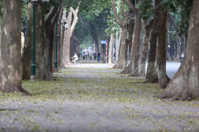 Chua thanh hương vị sấu